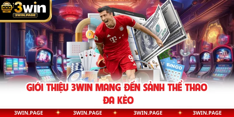 Giới thiệu 3WIN mang đến sảnh thể thao đa kèo